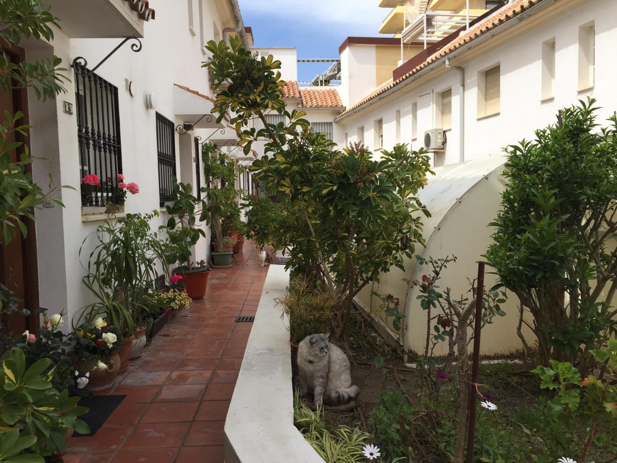 El Cortijuelo: Seaside Triplex with Rooftop Terrace Villa Torremolinos Exterior photo